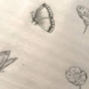 Meet your Posher, Belle